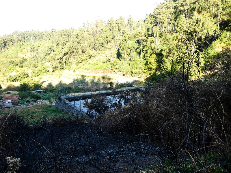 01.08.2021 Levada da Rouca und Aufstieg nach Chao dos Terreiros, zurück über die Boca da Corrida — Auf der Levada do Rouca: Grosses Wasserbecken und Levadafassungen — Foto 1