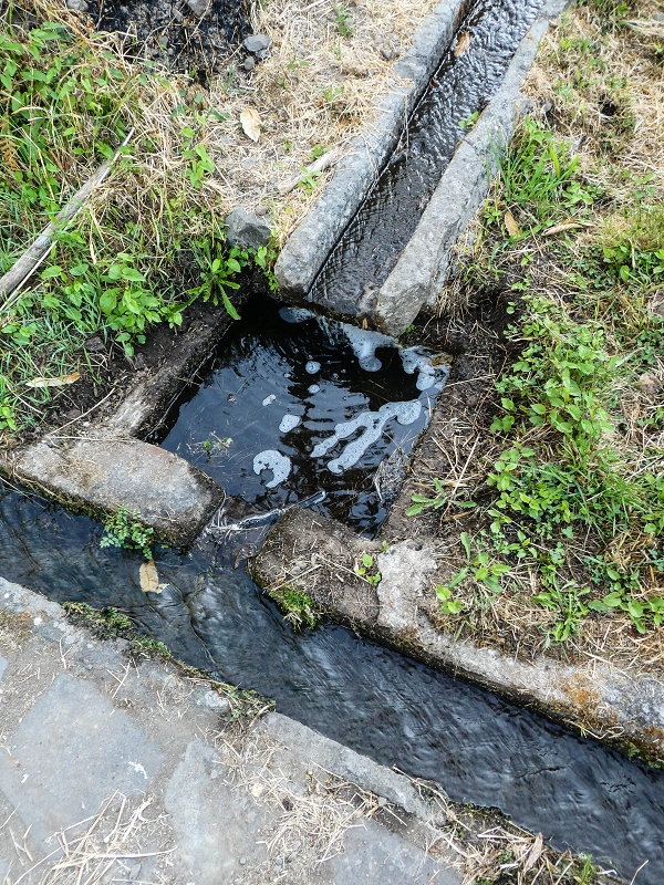 Levada da Rouca — Zufliessende Levada des Ostastes, im oberen Teil verfallen — Foto 12