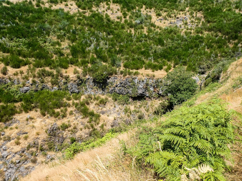 01.08.2021 Levada da Rouca und Aufstieg nach Chao dos Terreiros, zurück über die Boca da Corrida — Aufstieg zur Casa do Pestana — Foto 33