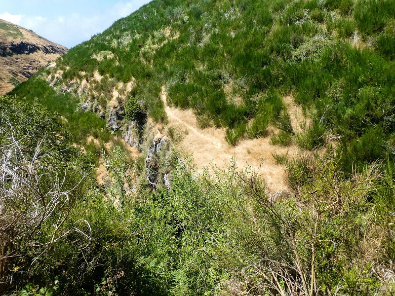01.08.2021 Levada da Rouca und Aufstieg nach Chao dos Terreiros, zurück über die Boca da Corrida — Aufstieg zur Casa do Pestana — Foto 34