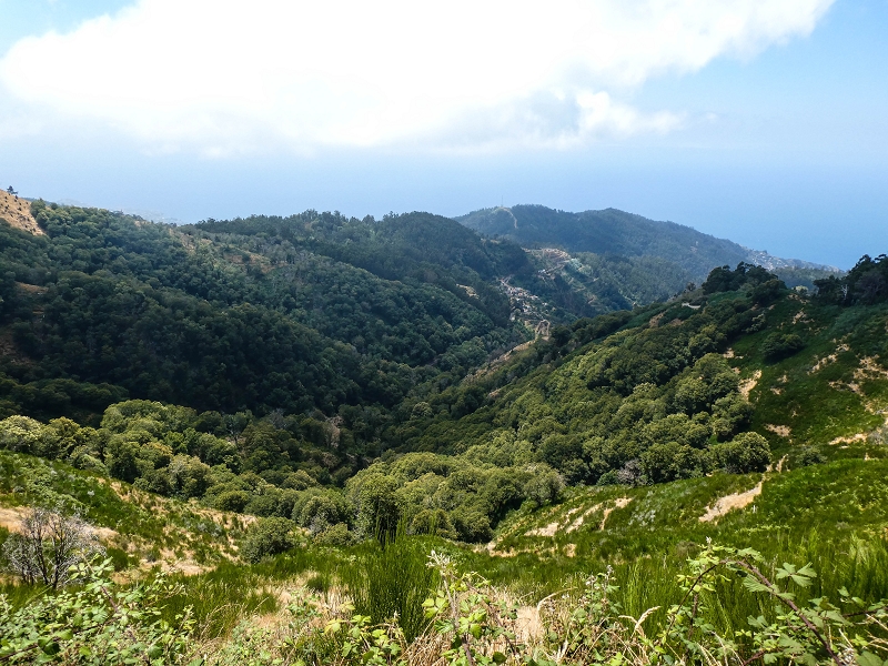 01.08.2021 Levada da Rouca und Aufstieg nach Chao dos Terreiros, zurück über die Boca da Corrida — Aufstieg zur Casa do Pestana — Foto 37