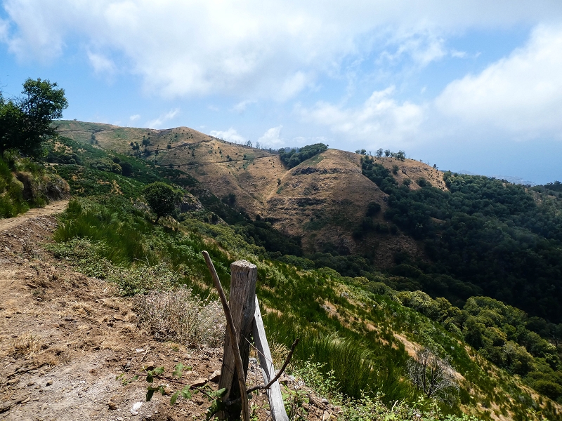 01.08.2021 Levada da Rouca und Aufstieg nach Chao dos Terreiros, zurück über die Boca da Corrida — Aufstieg zur Casa do Pestana — Foto 38