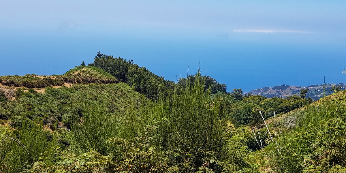 01.08.2021 Levada da Rouca und Aufstieg nach Chao dos Terreiros, zurück über die Boca da Corrida — Aufstieg zur Casa do Pestana — Foto 39