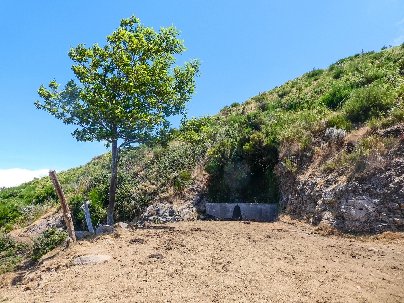 01.08.2021 Levada da Rouca und Aufstieg nach Chao dos Terreiros, zurück über die Boca da Corrida — Aufstieg zur Crista do Espigao und weiter zur Fonte dos Burros — Foto 3