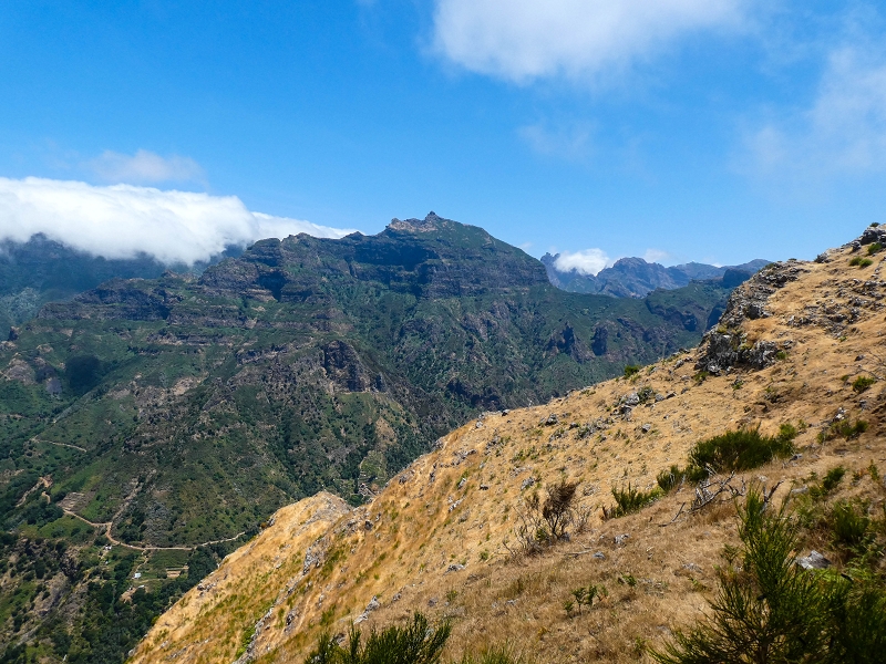 01.08.2021 Levada da Rouca und Aufstieg nach Chao dos Terreiros, zurück über die Boca da Corrida — Pico da Cruz — Foto 1