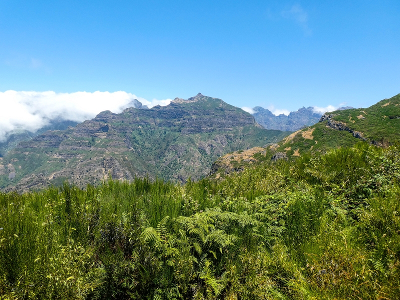 01.08.2021 Levada da Rouca und Aufstieg nach Chao dos Terreiros, zurück über die Boca da Corrida — Weiter Richtung Chao dos Terreiros — Foto 1