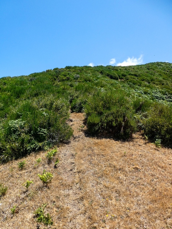 01.08.2021 Levada da Rouca und Aufstieg nach Chao dos Terreiros, zurück über die Boca da Corrida — Weiter Richtung Chao dos Terreiros — Foto 2