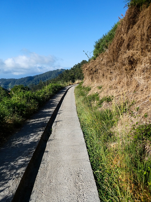 01.08.2021 Levada da Rouca und Aufstieg nach Chao dos Terreiros, zurück über die Boca da Corrida — Auf der Levada do Rouca: Bis zur aktuellen Wasserfassung — Foto 2