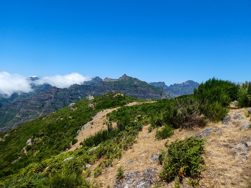 01.08.2021 Levada da Rouca und Aufstieg nach Chao dos Terreiros, zurück über die Boca da Corrida — Chao dos Terreiros und Trompica — Foto 2