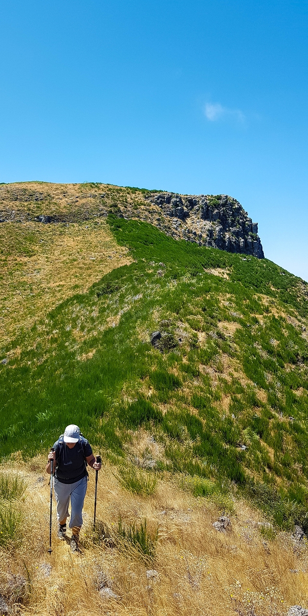 01.08.2021 Levada da Rouca und Aufstieg nach Chao dos Terreiros, zurück über die Boca da Corrida — Abstieg auf dem Caminho de Sao Lourenco zur ER 223 und weiter zur Vereda dos Zimbreiros — Foto 5