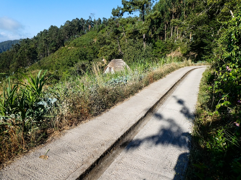 01.08.2021 Levada da Rouca und Aufstieg nach Chao dos Terreiros, zurück über die Boca da Corrida — Auf der Levada do Rouca: Bis zur aktuellen Wasserfassung — Foto 3