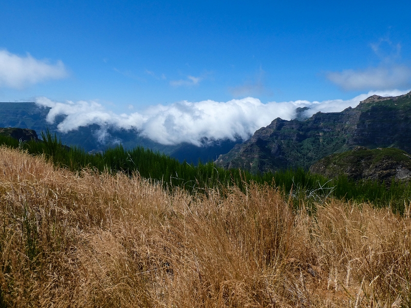 01.08.2021 Levada da Rouca und Aufstieg nach Chao dos Terreiros, zurück über die Boca da Corrida — Abstieg auf dem Caminho de Sao Lourenco zur ER 223 und weiter zur Vereda dos Zimbreiros — Foto 8