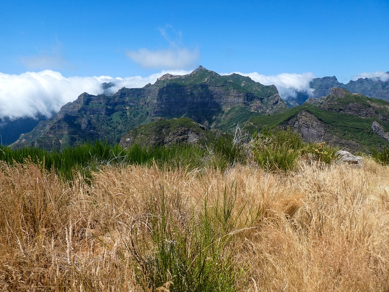 01.08.2021 Levada da Rouca und Aufstieg nach Chao dos Terreiros, zurück über die Boca da Corrida — Abstieg auf dem Caminho de Sao Lourenco zur ER 223 und weiter zur Vereda dos Zimbreiros — Foto 9