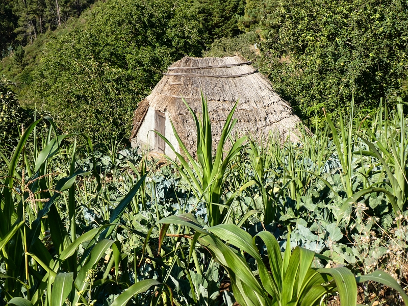 01.08.2021 Levada da Rouca und Aufstieg nach Chao dos Terreiros, zurück über die Boca da Corrida — Auf der Levada do Rouca: Bis zur aktuellen Wasserfassung — Foto 4