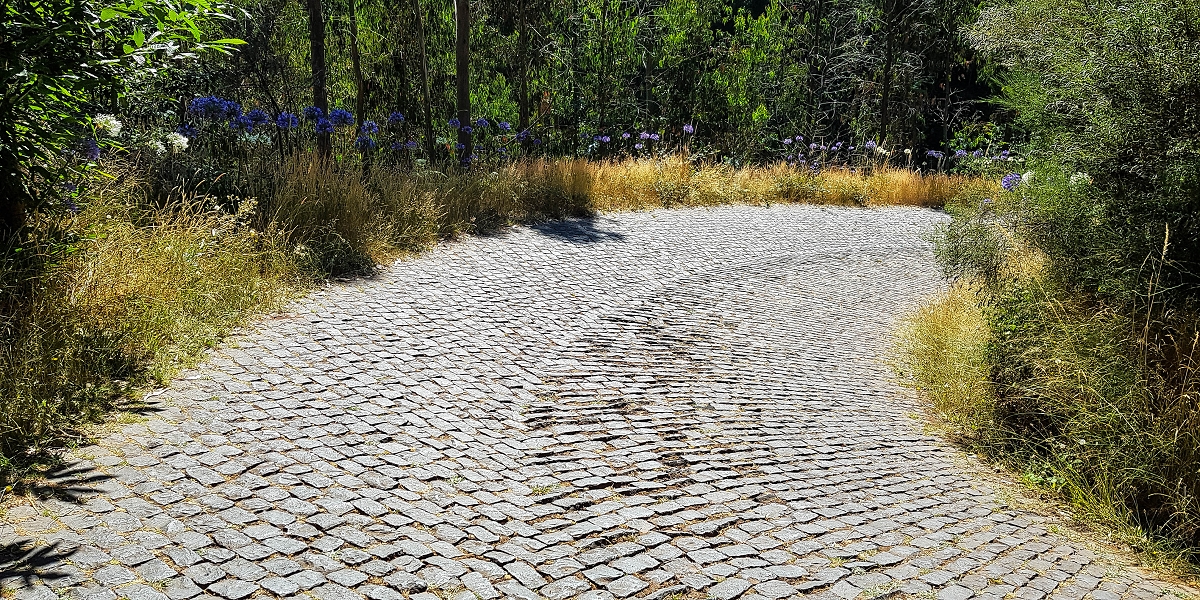 01.08.2021 Levada da Rouca und Aufstieg nach Chao dos Terreiros, zurück über die Boca da Corrida — Boca da Corrida und zurück nach Jardim da Serra — Foto 1