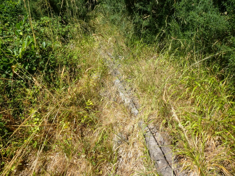 Levada da Rouca — Zufliessende Levada des Ostastes, im oberen Teil verfallen — Foto 1
