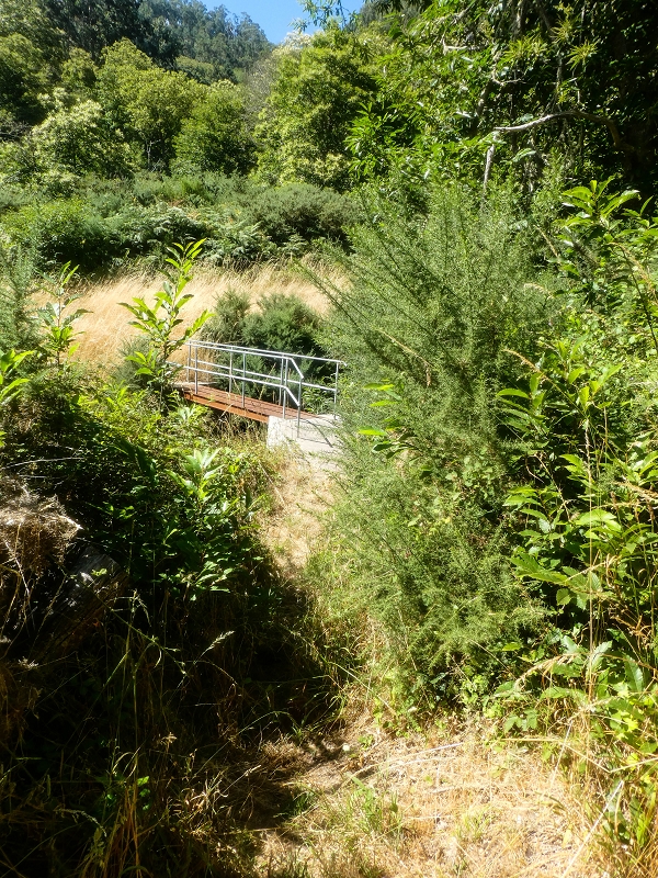Levada da Rouca — Zufliessende Levada des Ostastes, im oberen Teil verfallen — Foto 3