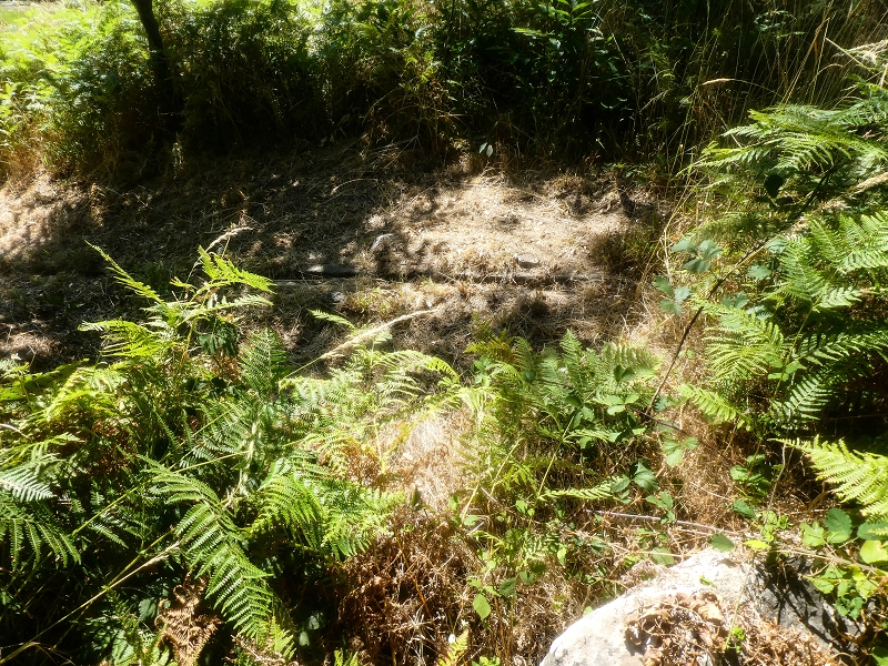 Levada da Rouca — Zufliessende Levada des Ostastes, im oberen Teil verfallen — Foto 4
