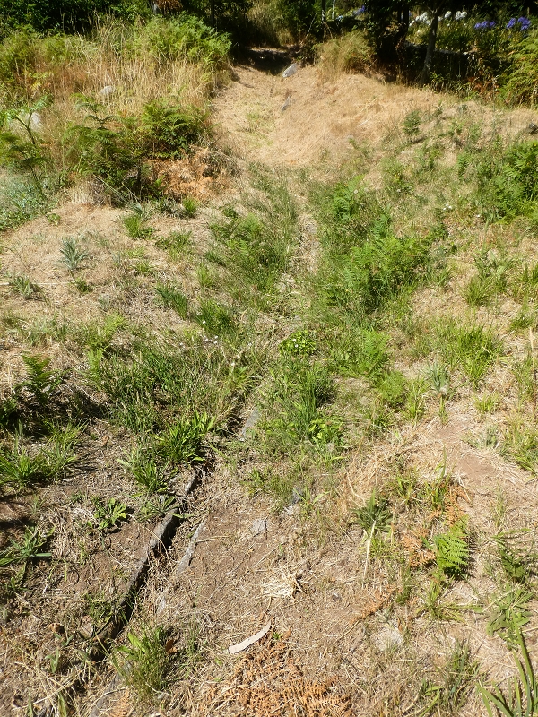 Levada da Rouca — Zufliessende Levada des Ostastes, im oberen Teil verfallen — Foto 6