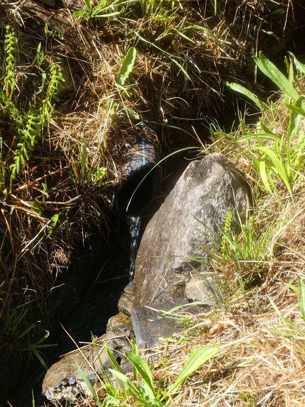 Levada da Rouca — Zufliessende Levada des Ostastes, im oberen Teil verfallen — Foto 9