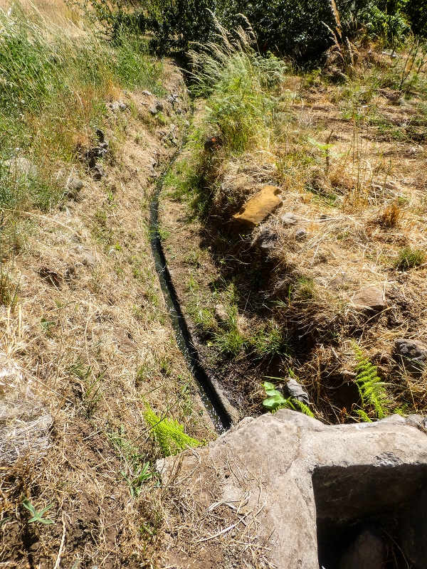 Levada da Rouca — Zufliessende Levada des Ostastes, im oberen Teil verfallen — Foto 10
