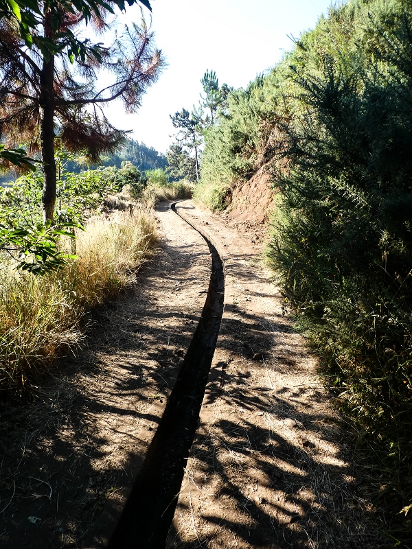 01.08.2021 Levada da Rouca und Aufstieg nach Chao dos Terreiros, zurück über die Boca da Corrida — Auf der Levada do Rouca: Bis zur aktuellen Wasserfassung — Foto 6