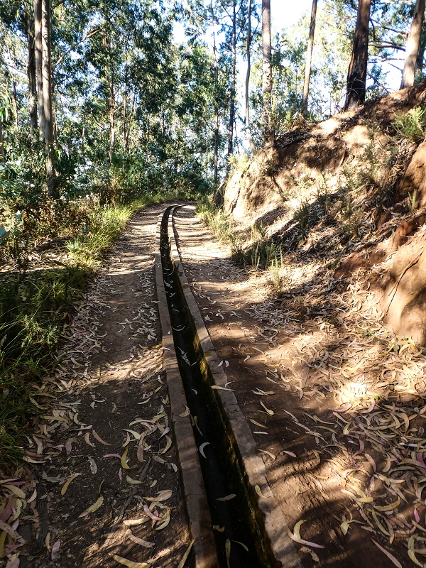 01.08.2021 Levada da Rouca und Aufstieg nach Chao dos Terreiros, zurück über die Boca da Corrida — Auf der Levada do Rouca: Bis zur aktuellen Wasserfassung — Foto 7