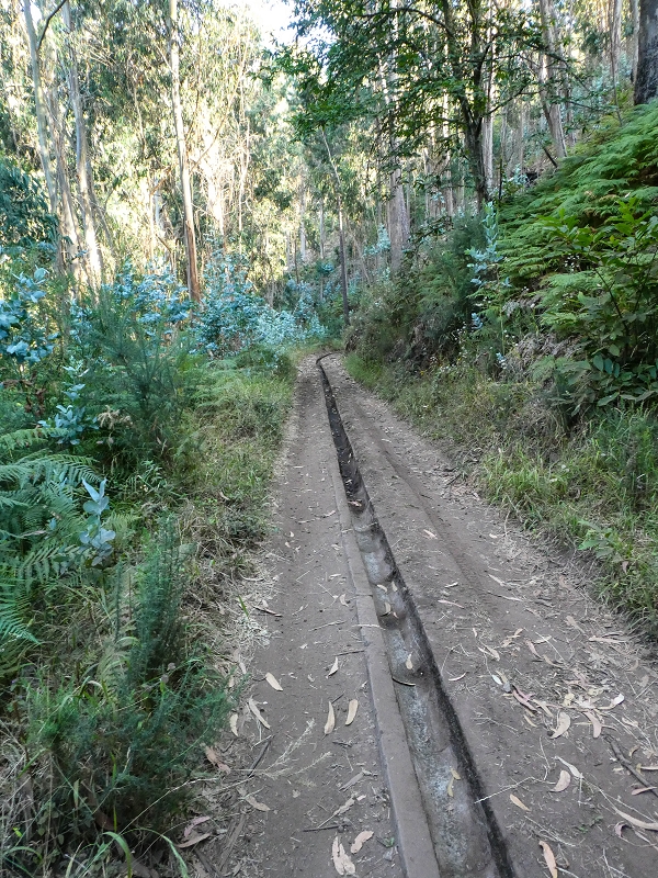 01.08.2021 Levada da Rouca und Aufstieg nach Chao dos Terreiros, zurück über die Boca da Corrida — Auf der Levada do Rouca: Aktuelle Wasserfassung — Foto 1