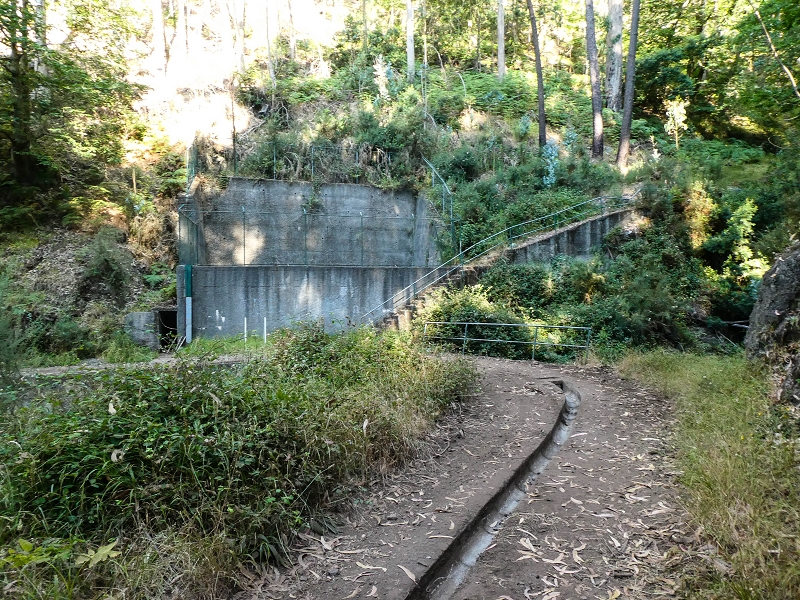 Levada da Rouca — Neue Madre des Westastes und Sammelbecken — Foto 1