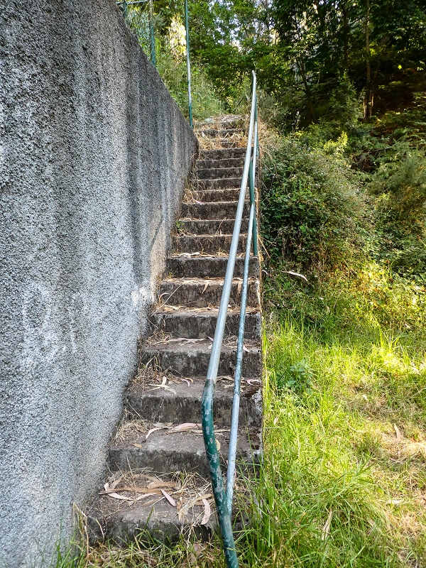 Levada da Rouca — Neue Madre des Westastes und Sammelbecken — Foto 10