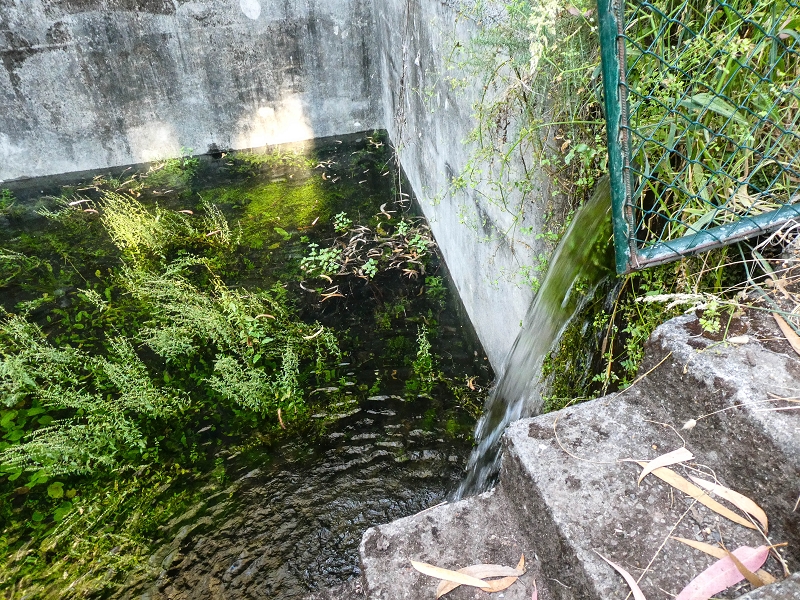 Levada da Rouca — Neue Madre des Westastes und Sammelbecken — Foto 9