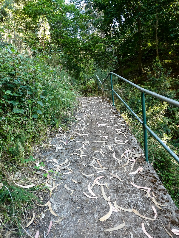 01.08.2021 Levada da Rouca und Aufstieg nach Chao dos Terreiros, zurück über die Boca da Corrida — Auf der Levada do Rouca: Aktuelle Wasserfassung — Foto 6
