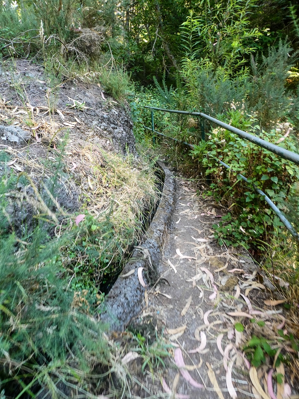 01.08.2021 Levada da Rouca und Aufstieg nach Chao dos Terreiros, zurück über die Boca da Corrida — Auf der Levada do Rouca: Aktuelle Wasserfassung — Foto 7