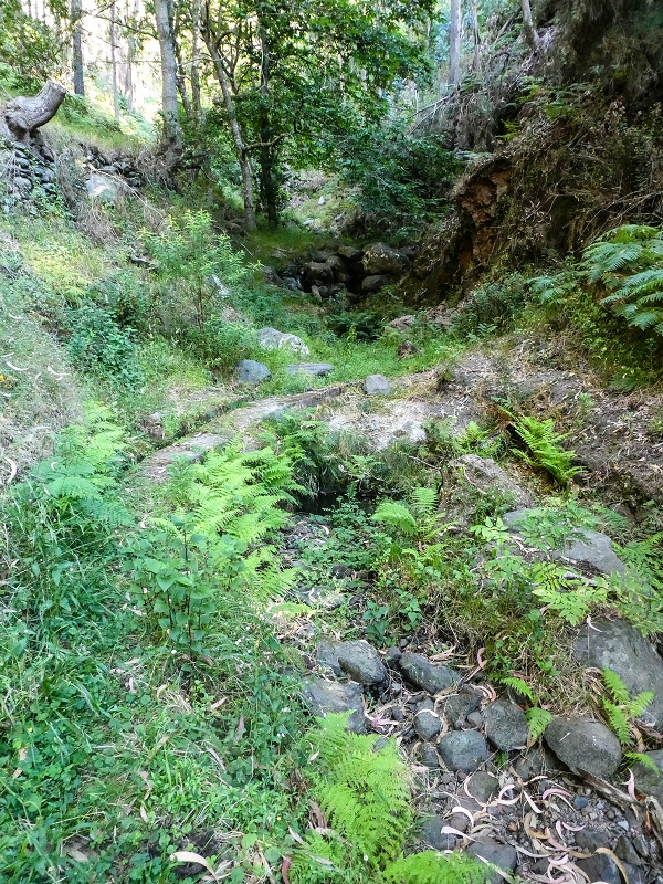 01.08.2021 Levada da Rouca und Aufstieg nach Chao dos Terreiros, zurück über die Boca da Corrida — Auf der Levada do Rouca: Aktuelle Wasserfassung — Foto 8