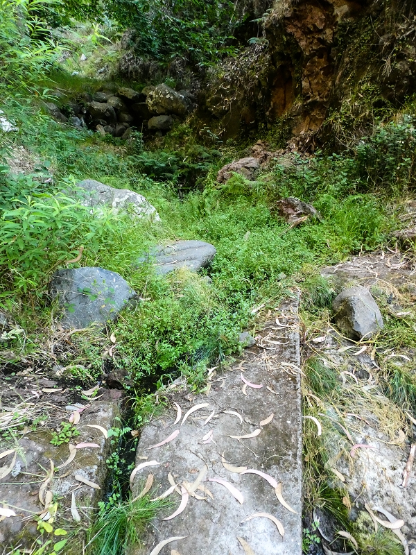 01.08.2021 Levada da Rouca und Aufstieg nach Chao dos Terreiros, zurück über die Boca da Corrida — Auf der Levada do Rouca: Aktuelle Wasserfassung — Foto 9