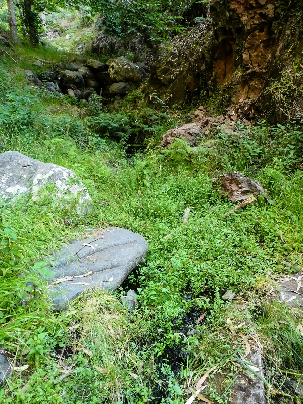 Levada da Rouca — Neue Madre des Westastes und Sammelbecken — Foto 3