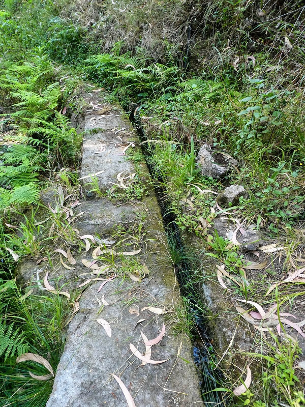 Levada da Rouca — Neue Madre des Westastes und Sammelbecken — Foto 5