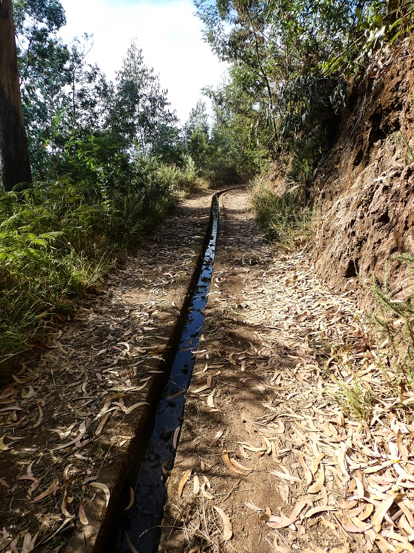01.08.2021 Levada da Rouca und Aufstieg nach Chao dos Terreiros, zurück über die Boca da Corrida — Auf der Levada do Rouca: Weiter bis zum Speicherbecken — Foto 1