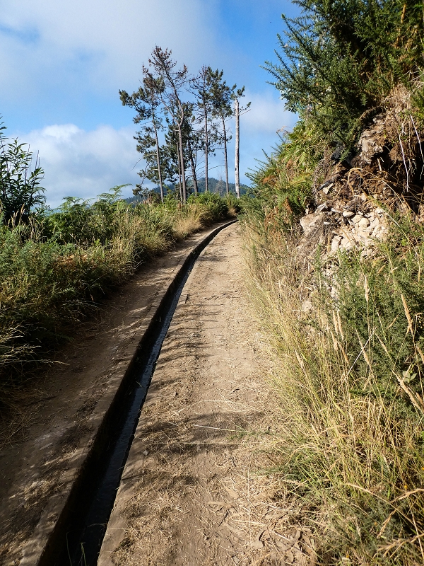 Levada da Rouca — Weiterverlauf des Westastes — Foto 1