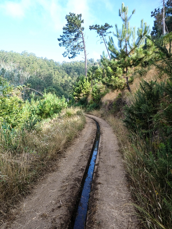 Levada da Rouca — Weiterverlauf des Westastes — Foto 2