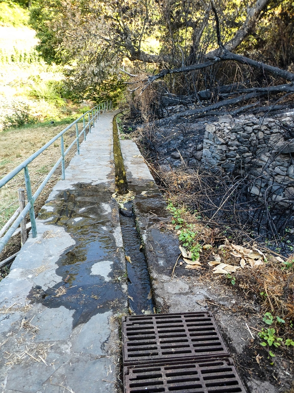 Levada da Rouca — Zufluss zum grossen Reservoir — Foto 1