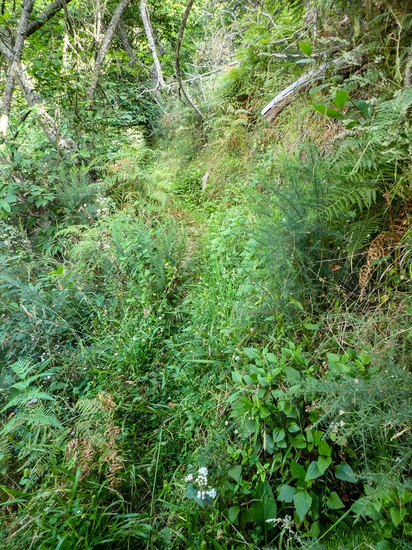 01.08.2021 Levada da Rouca und Aufstieg nach Chao dos Terreiros, zurück über die Boca da Corrida — Auf der Levada do Rouca: Zusätzliche Wasserfassung — Foto 2