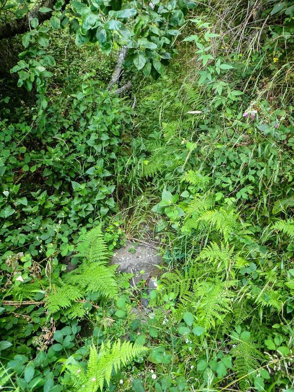 Levada da Rouca — Zusätzliche Seitenlevada — Foto 1