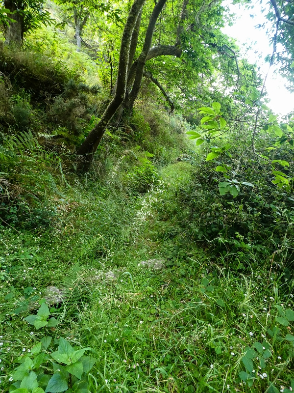 Levada da Rouca — Zusätzliche Seitenlevada — Foto 2