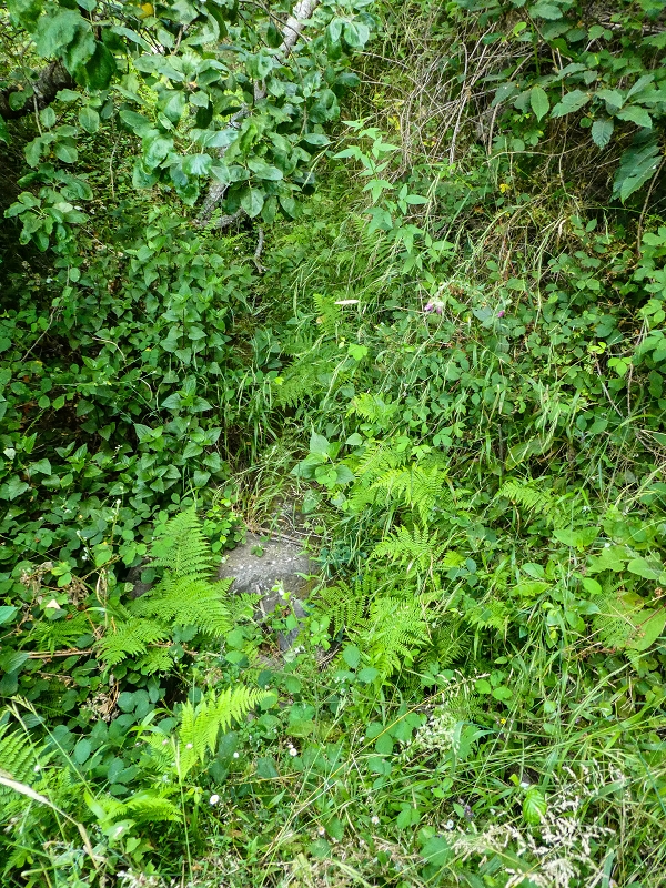 01.08.2021 Levada da Rouca und Aufstieg nach Chao dos Terreiros, zurück über die Boca da Corrida — Auf der Levada do Rouca: Zusätzliche Wasserfassung — Foto 6