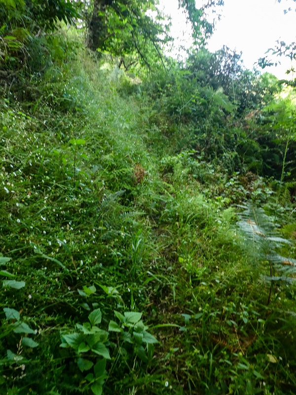 01.08.2021 Levada da Rouca und Aufstieg nach Chao dos Terreiros, zurück über die Boca da Corrida — Auf der Levada do Rouca: Zusätzliche Wasserfassung — Foto 7