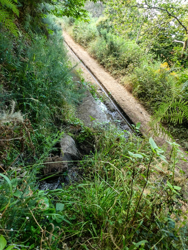 Levada da Rouca — Zusätzliche Seitenlevada — Foto 3