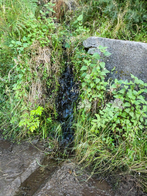 01.08.2021 Levada da Rouca und Aufstieg nach Chao dos Terreiros, zurück über die Boca da Corrida — Auf der Levada do Rouca: Zusätzliche Wasserfassung — Foto 9