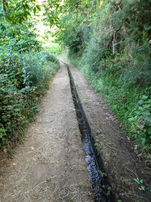 01.08.2021 Levada da Rouca und Aufstieg nach Chao dos Terreiros, zurück über die Boca da Corrida — Auf der Levada do Rouca: Wasserbecken und Ende des sichtbaren Verlaufes — Foto 1