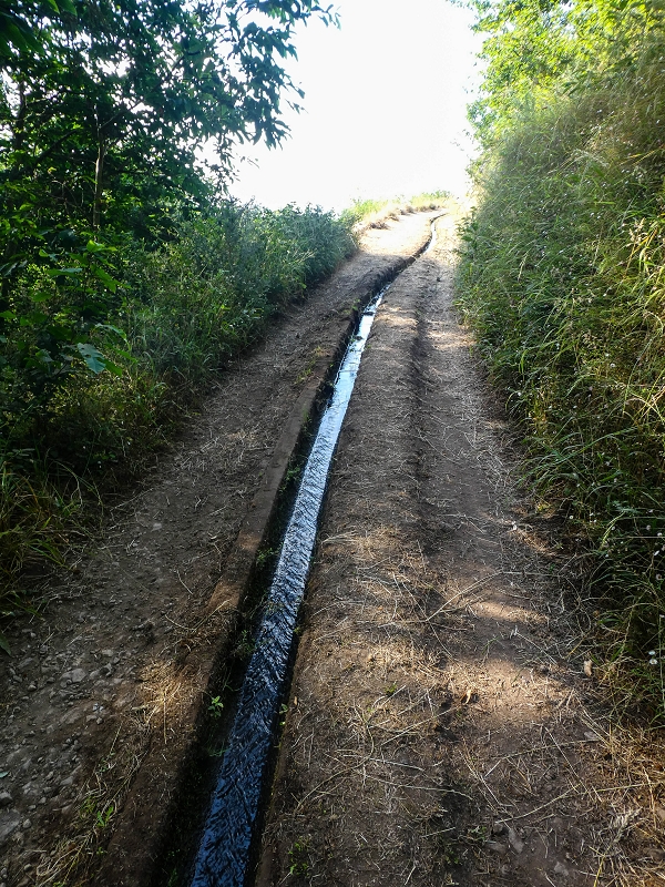 Levada da Rouca — Weiterverlauf des Westastes — Foto 1
